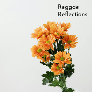 Reggae Reflections