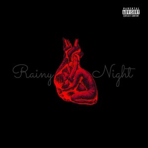 Rainy Night