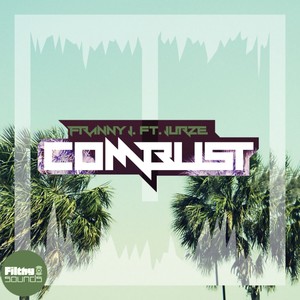 Combust (Original Mix)