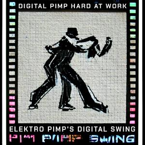 Elektro Pimp's Digital Swing