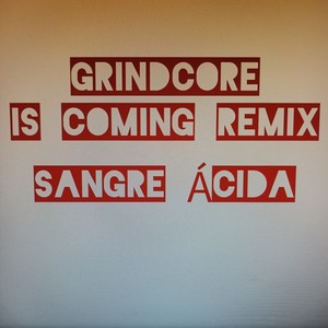 Skizo (Remix|Explicit)