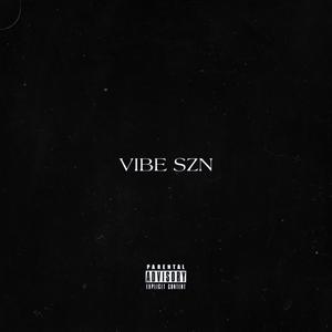 VIBE SZN - (compilation project) [Explicit]