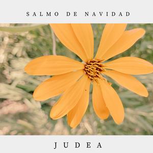 Salmo de navidad