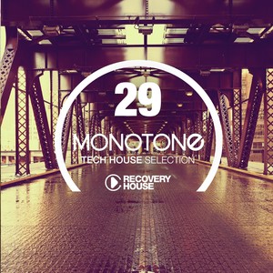 Monotone, Vol. 29 - Tech House Selection