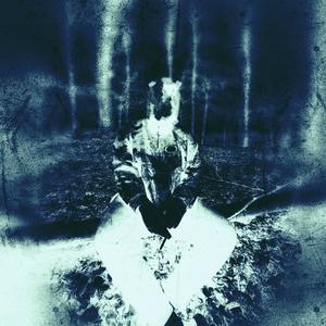 Lev hurtigt (Explicit)