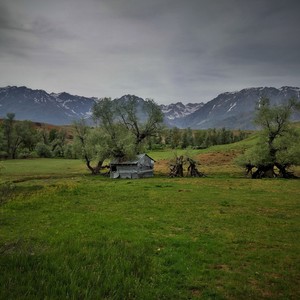 Bewaxt(Zamansız)(feat. Şiar Eroğlu)