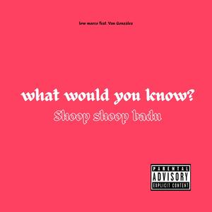 what would you know? (feat. VanGonzalez) [Explicit]