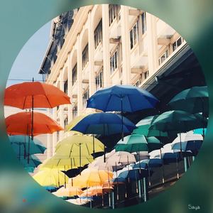 星の在り処(星之所在)