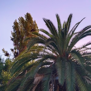 Grvty (Versión instrumental)