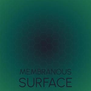 Membranous Surface