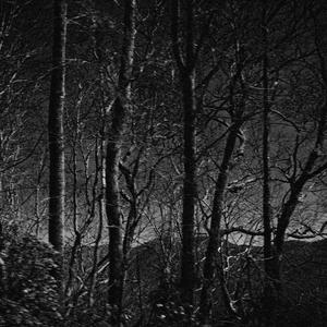 I RUN BACK (feat. Y06)