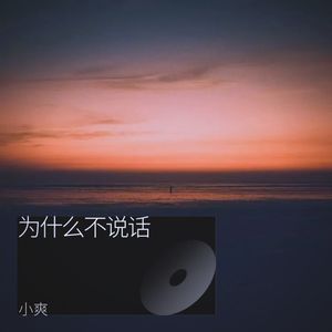 为什么不说话