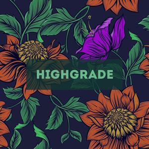 Highgrade (feat. Ohrodi) [Explicit]