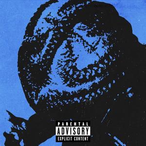 Chrome Heart Braids (Explicit)