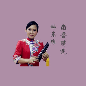 南音《春望·国破山河在》杜甫著【英雄冢叠】