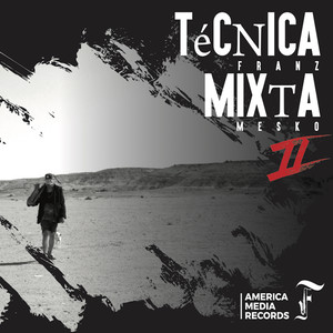 Técnica Mixta II