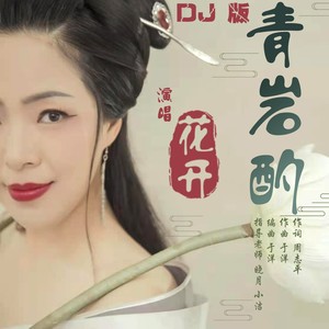 青岩酌 (DJ 版伴奏)