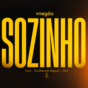 Vnegão Oficial - Sozinho