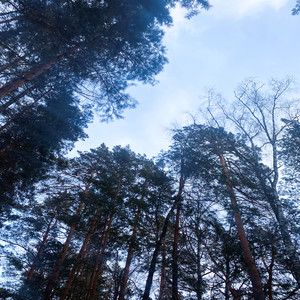 Heavenly Light (Move Around)