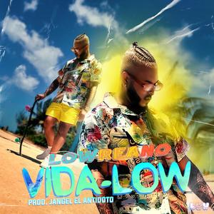 VIDA-LOW (Explicit)