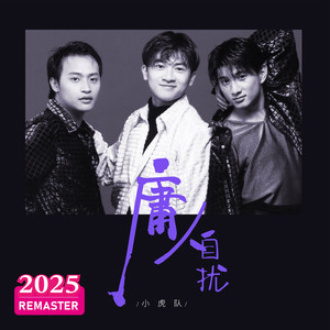 庸人自扰 (伴唱版2025 Remastered)封面
