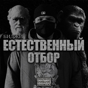 Естественный отбор (Explicit)