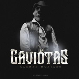 Las Gaviotas (En Vivo)