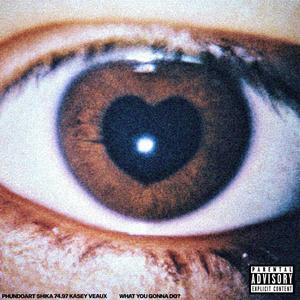 WHAT YOU GONNA DO? (feat. Shika, 74.97 & Kasey Veaux) (Explicit)