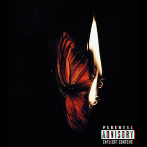 Butterfly Experince (Explicit)