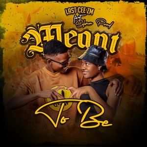 Meant To Be (feat. Solomon Pound) [Explicit]