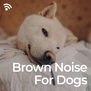 Dog Brown Noise Relaxer for Firework