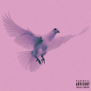 CVMF (feat. MAGISTRA) (Explicit)