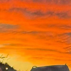 This Summer Never Started