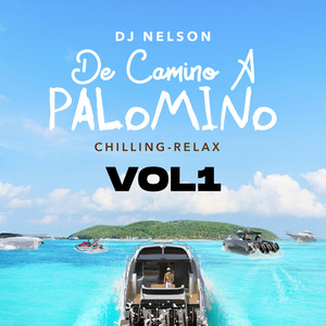 De Camino A Palomino, Vol. 1 (Explicit)