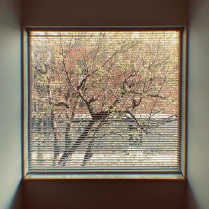 Midwest Entropy(feat. Lilac Heart) (Explicit)