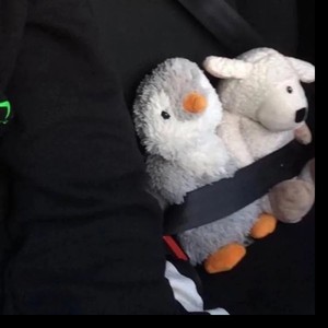 这座城市他一点也不开心