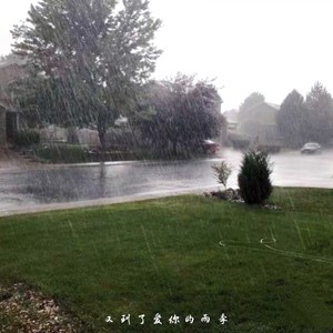 又到了爱你的雨季