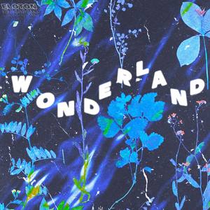 Wonderland (Explicit)