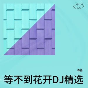 等不到花开DJ精选 (Remix)