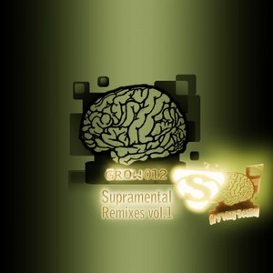 Supramental Remixes Vol. 1