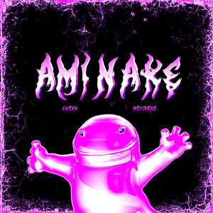 AMINAKE FUNK (Guitar Version)