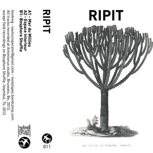 RIPIT