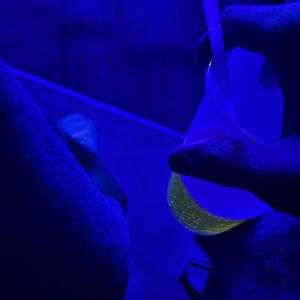 turn it up (Explicit)