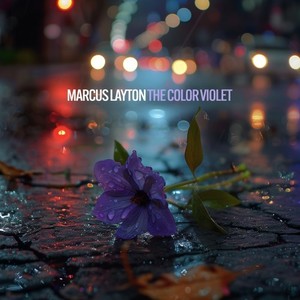 The Color Violet
