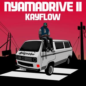 Nyamadrive 2