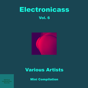 Electronicass, Vol. 6