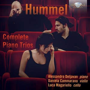 Trio in E-Flat Major, Op. 12 - I. Allegro agitato