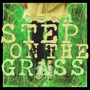 Step on the Grass