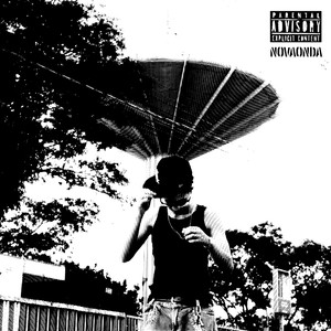 Selva de Pedra (Explicit)