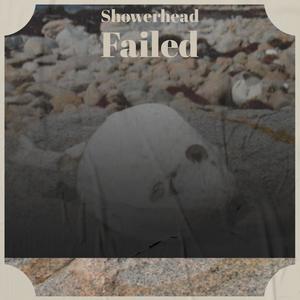 Showerhead Failed